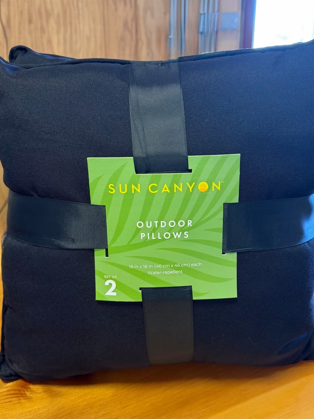 Sun Canyon Outdoor Pillow Set - Black (Set of 2)